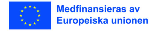 europeiska unionen 